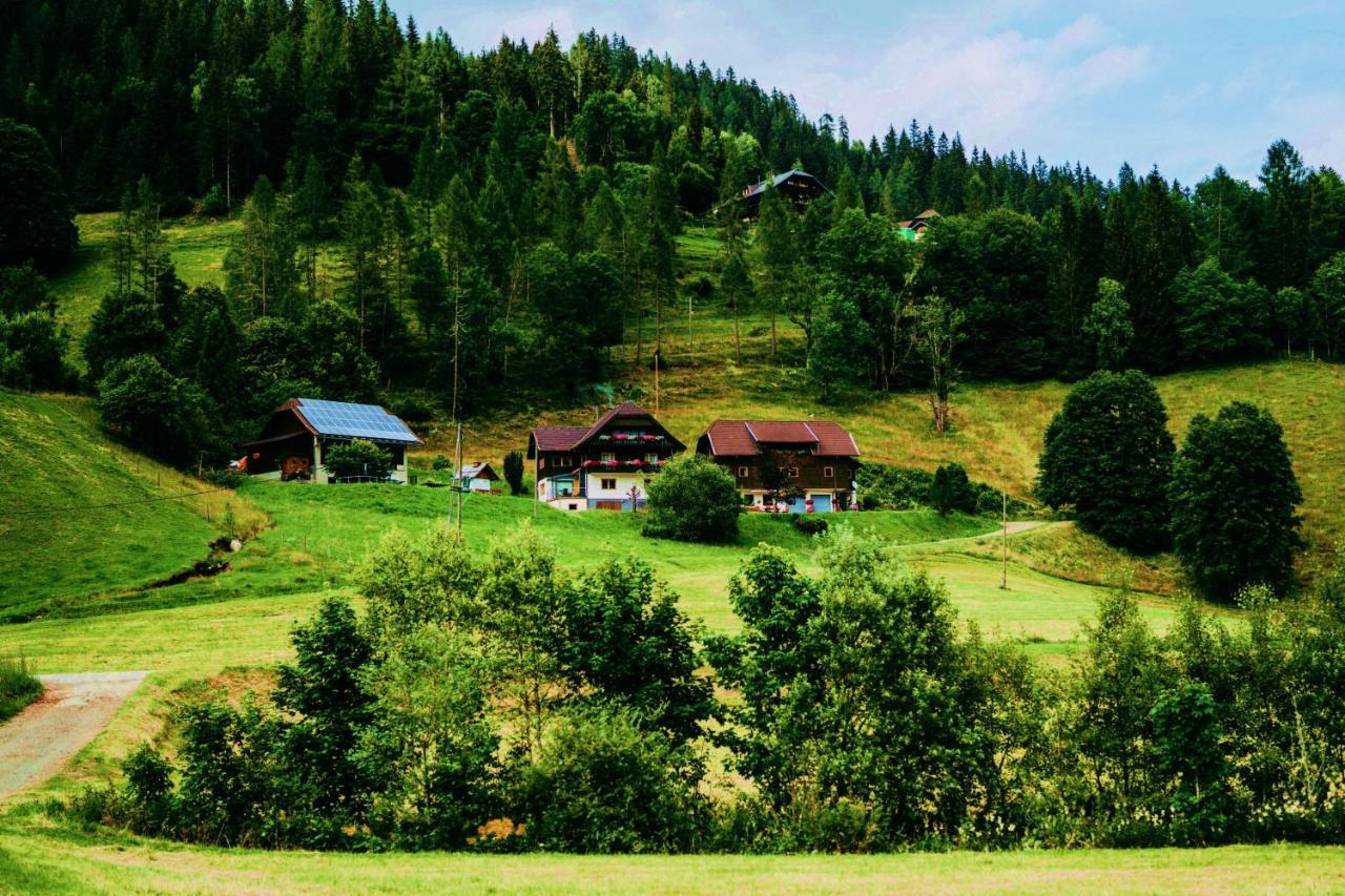 Appartement Vidmar-Wintertraum Arriach ภายนอก รูปภาพ