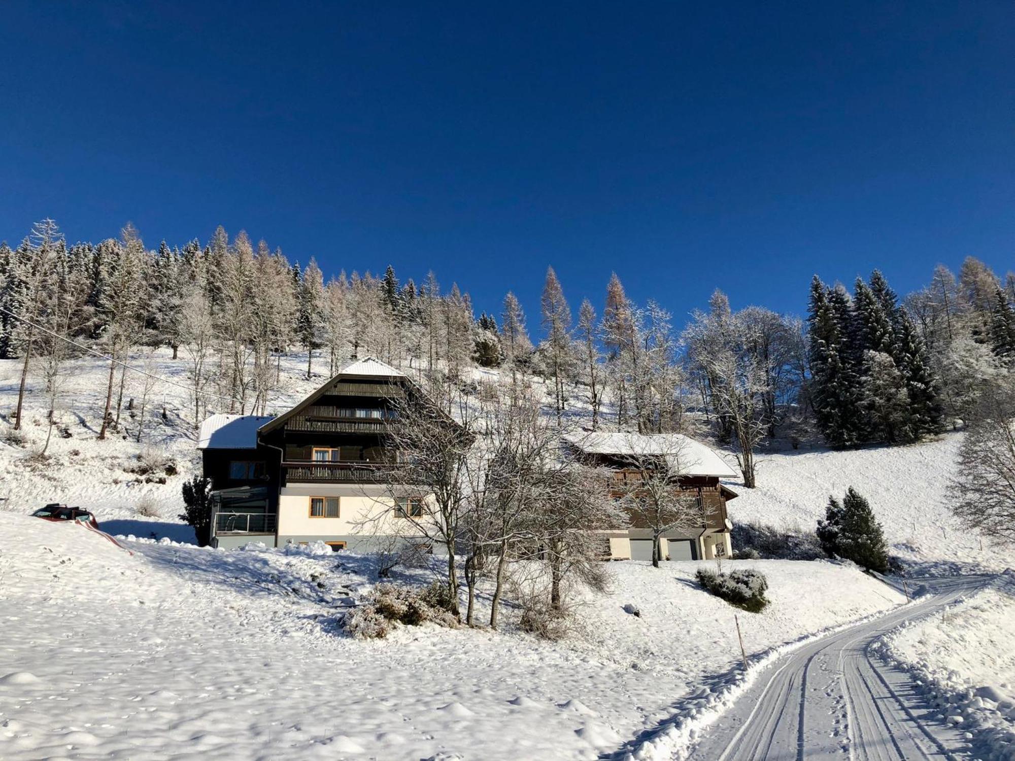 Appartement Vidmar-Wintertraum Arriach ภายนอก รูปภาพ