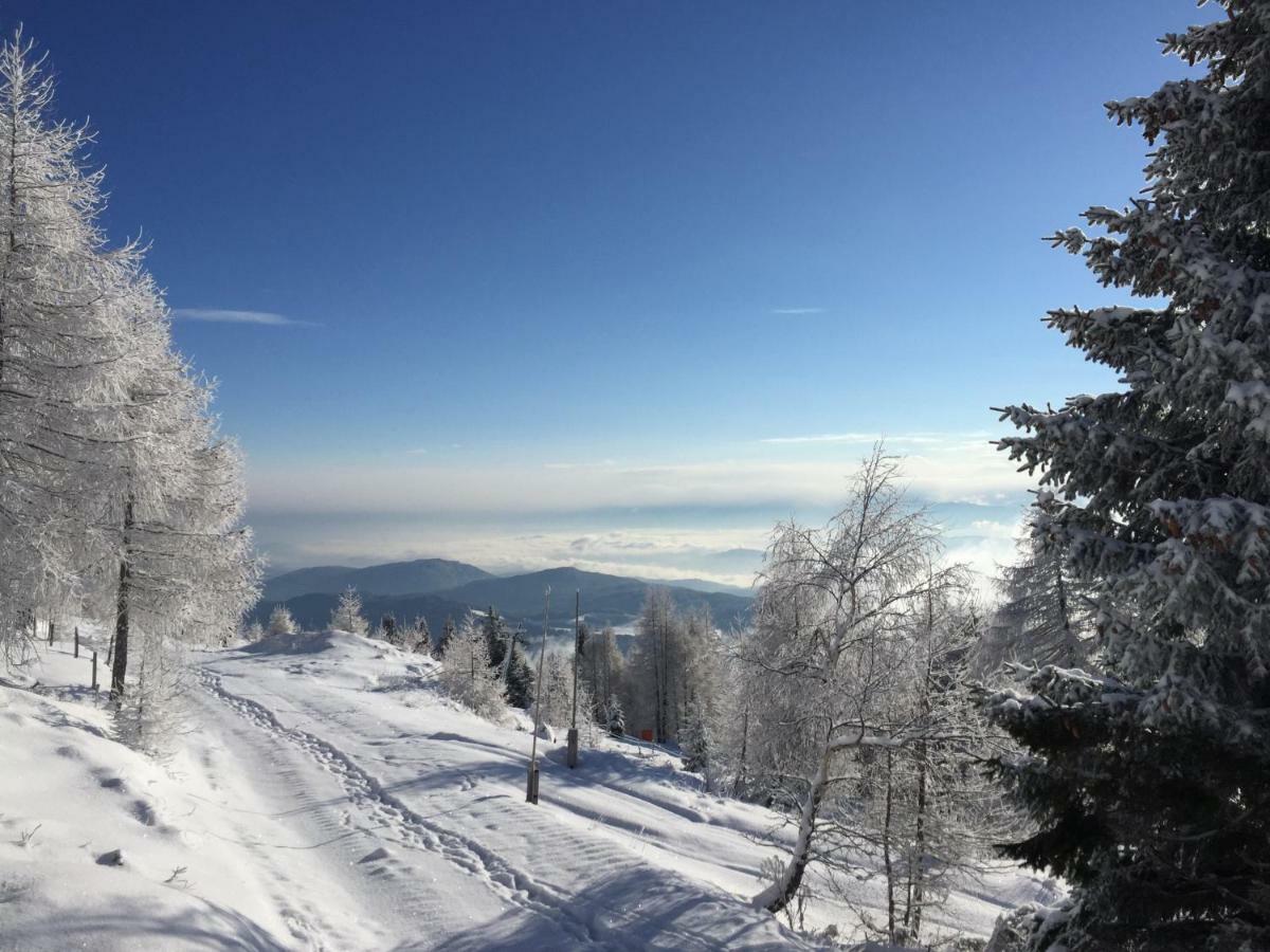 Appartement Vidmar-Wintertraum Arriach ภายนอก รูปภาพ